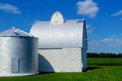 Crib Roof Repair