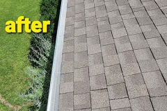 Gutter Guards