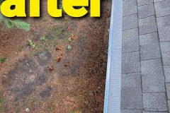 Gutter Guards